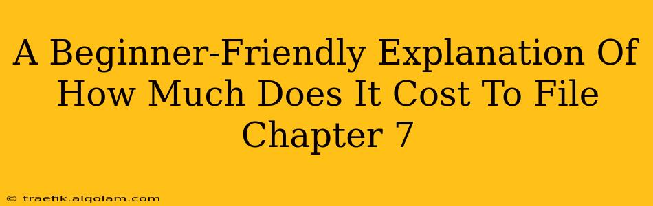 A Beginner-Friendly Explanation Of How Much Does It Cost To File Chapter 7