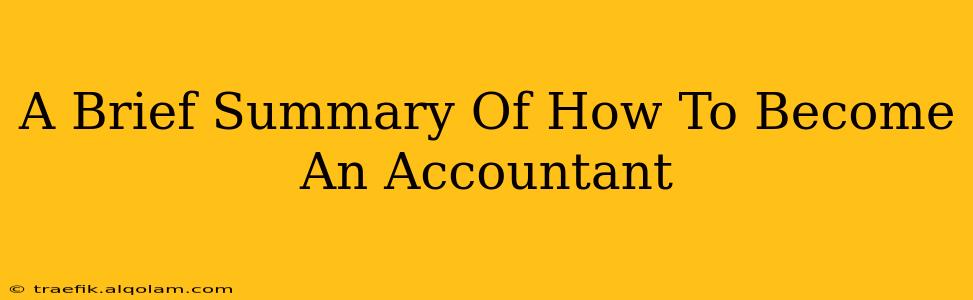 A Brief Summary Of How To Become An Accountant