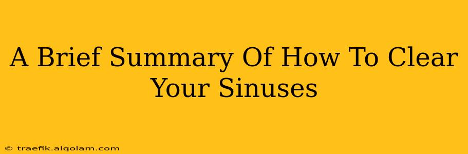 A Brief Summary Of How To Clear Your Sinuses