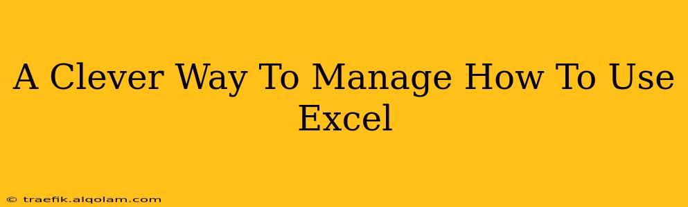 A Clever Way To Manage How To Use Excel