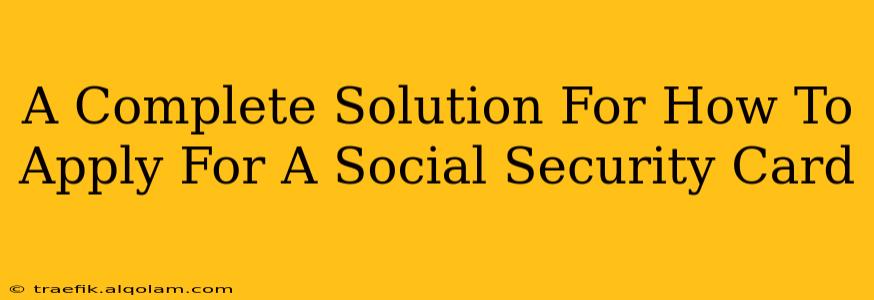 A Complete Solution For How To Apply For A Social Security Card