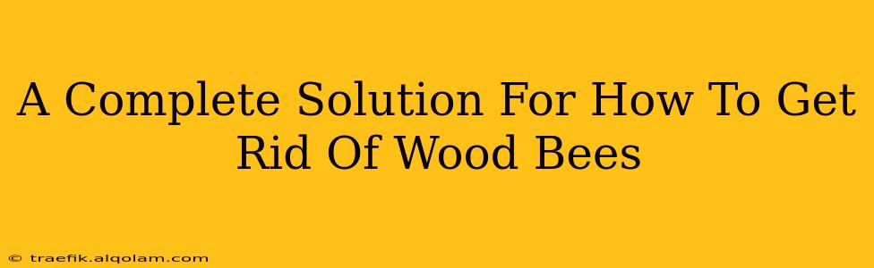 A Complete Solution For How To Get Rid Of Wood Bees