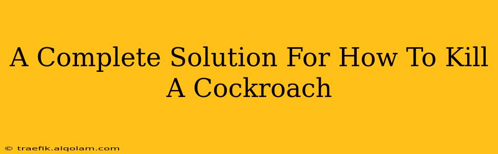 A Complete Solution For How To Kill A Cockroach