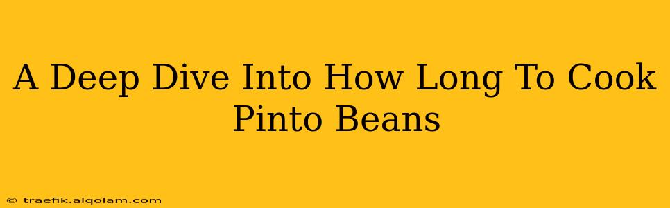 A Deep Dive Into How Long To Cook Pinto Beans