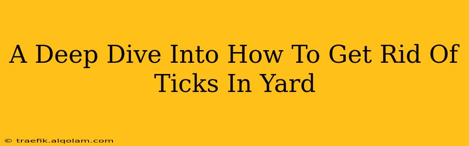 A Deep Dive Into How To Get Rid Of Ticks In Yard