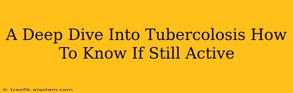 A Deep Dive Into Tubercolosis How To Know If Still Active