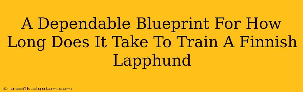 A Dependable Blueprint For How Long Does It Take To Train A Finnish Lapphund