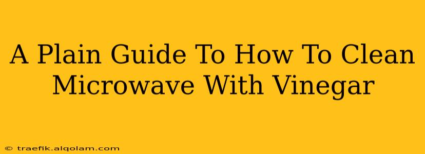 A Plain Guide To How To Clean Microwave With Vinegar