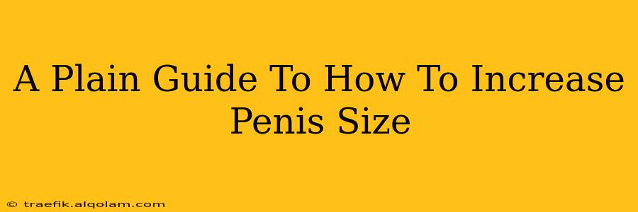 A Plain Guide To How To Increase Penis Size