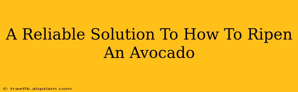 A Reliable Solution To How To Ripen An Avocado