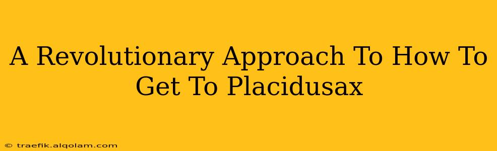 A Revolutionary Approach To How To Get To Placidusax