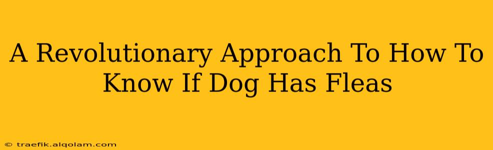 A Revolutionary Approach To How To Know If Dog Has Fleas