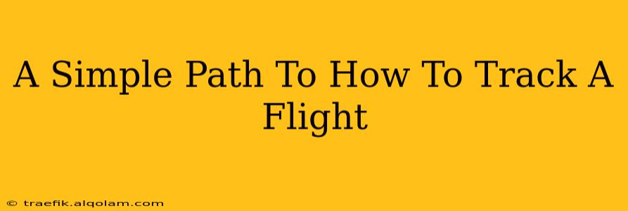 A Simple Path To How To Track A Flight