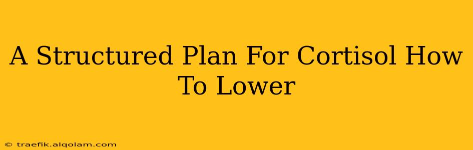 A Structured Plan For Cortisol How To Lower