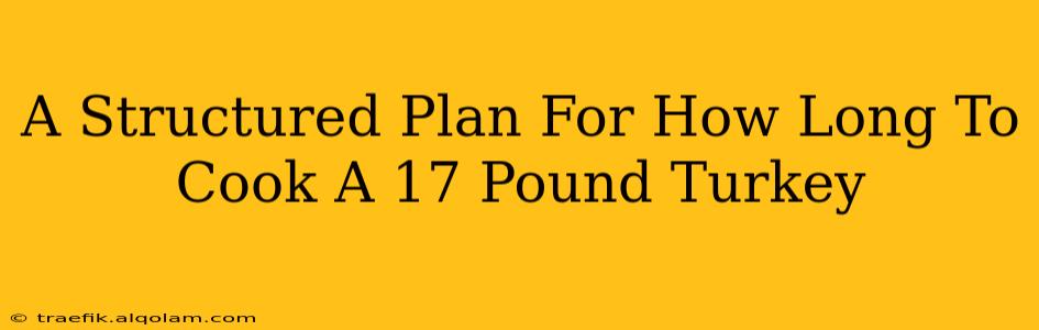 A Structured Plan For How Long To Cook A 17 Pound Turkey