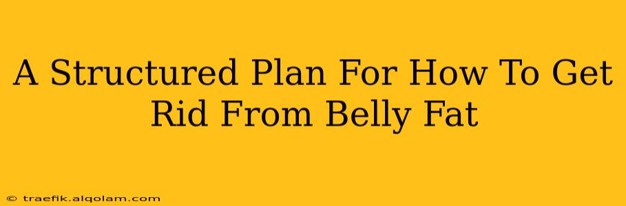 A Structured Plan For How To Get Rid From Belly Fat