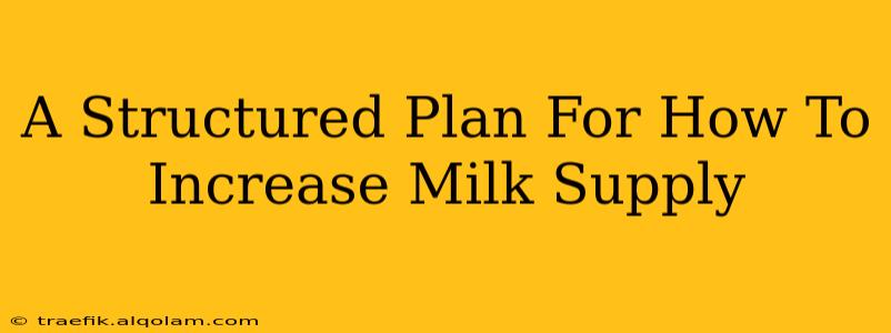 A Structured Plan For How To Increase Milk Supply