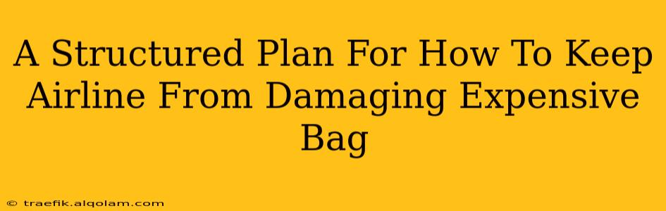 A Structured Plan For How To Keep Airline From Damaging Expensive Bag