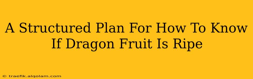 A Structured Plan For How To Know If Dragon Fruit Is Ripe