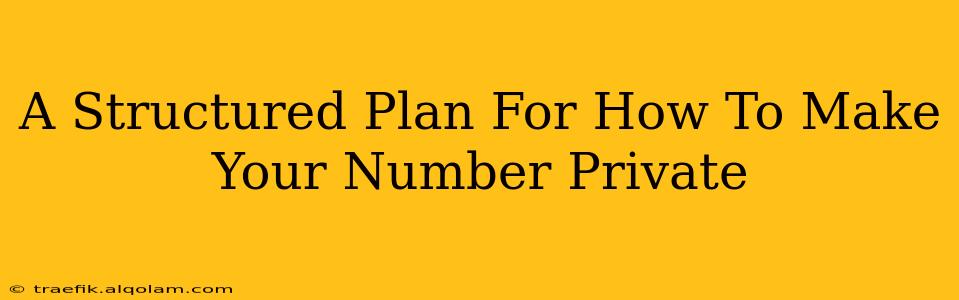 A Structured Plan For How To Make Your Number Private