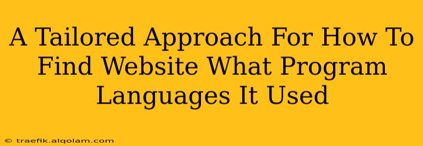 A Tailored Approach For How To Find Website What Program Languages It Used