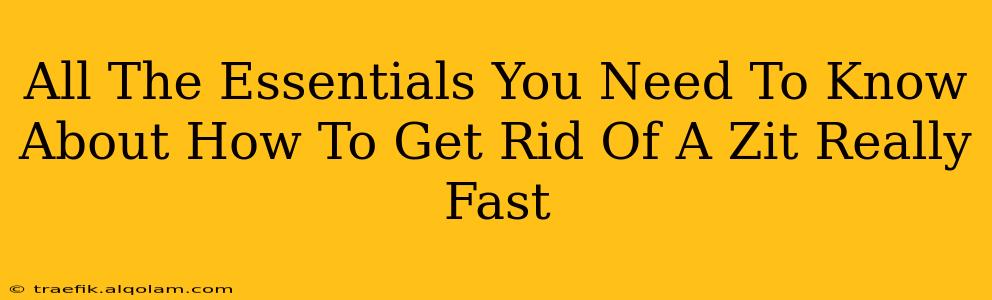 All The Essentials You Need To Know About How To Get Rid Of A Zit Really Fast