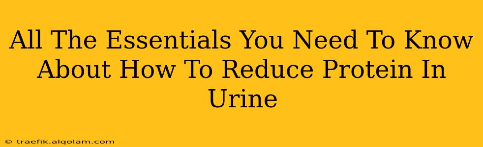 All The Essentials You Need To Know About How To Reduce Protein In Urine