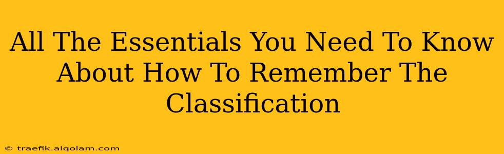 All The Essentials You Need To Know About How To Remember The Classification