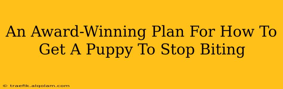 An Award-Winning Plan For How To Get A Puppy To Stop Biting