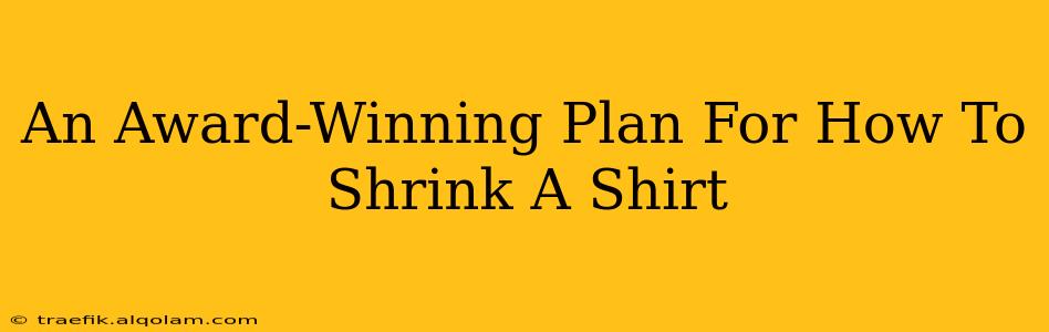 An Award-Winning Plan For How To Shrink A Shirt