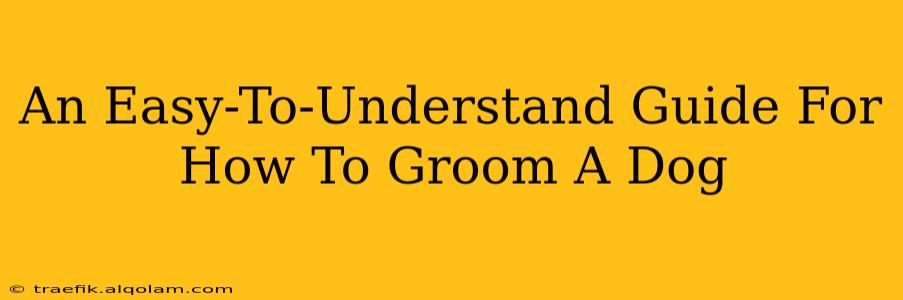 An Easy-To-Understand Guide For How To Groom A Dog