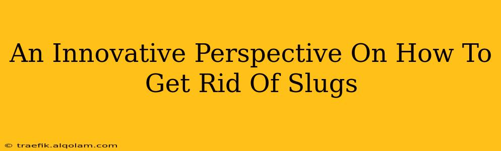 An Innovative Perspective On How To Get Rid Of Slugs