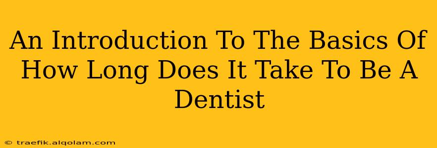 An Introduction To The Basics Of How Long Does It Take To Be A Dentist