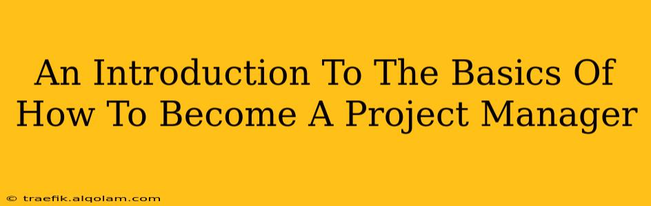 An Introduction To The Basics Of How To Become A Project Manager