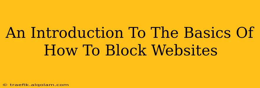 An Introduction To The Basics Of How To Block Websites