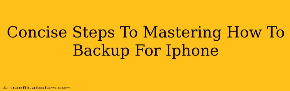 Concise Steps To Mastering How To Backup For Iphone