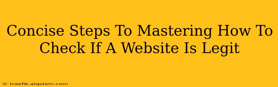 Concise Steps To Mastering How To Check If A Website Is Legit