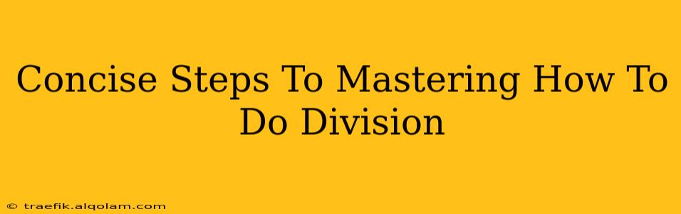 Concise Steps To Mastering How To Do Division