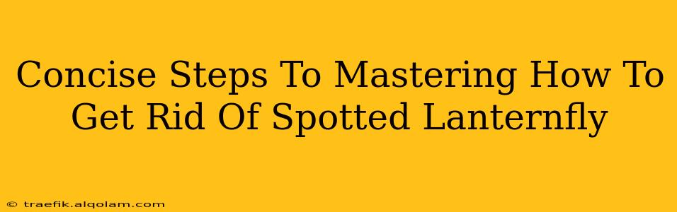 Concise Steps To Mastering How To Get Rid Of Spotted Lanternfly