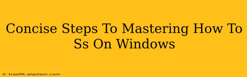 Concise Steps To Mastering How To Ss On Windows