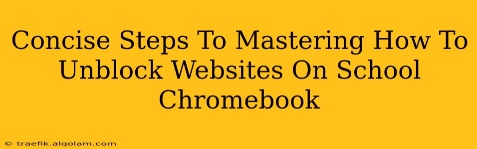 Concise Steps To Mastering How To Unblock Websites On School Chromebook