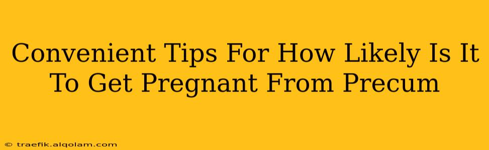 Convenient Tips For How Likely Is It To Get Pregnant From Precum