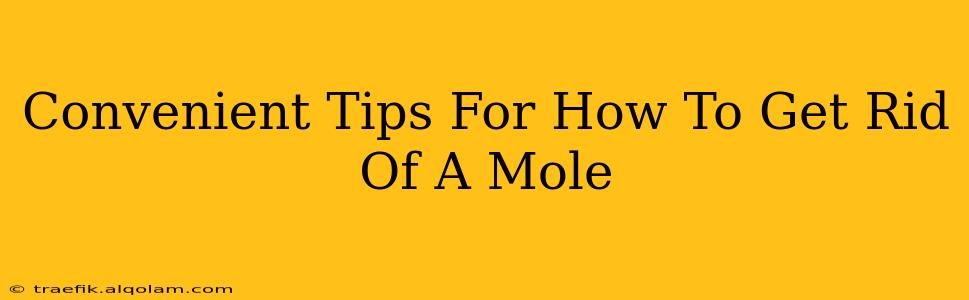 Convenient Tips For How To Get Rid Of A Mole