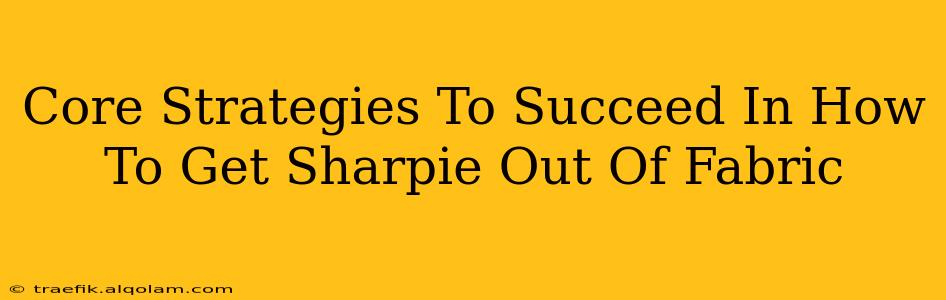 Core Strategies To Succeed In How To Get Sharpie Out Of Fabric