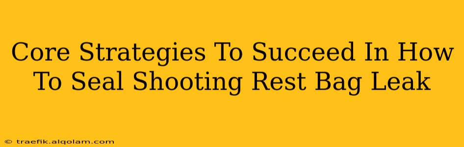 Core Strategies To Succeed In How To Seal Shooting Rest Bag Leak