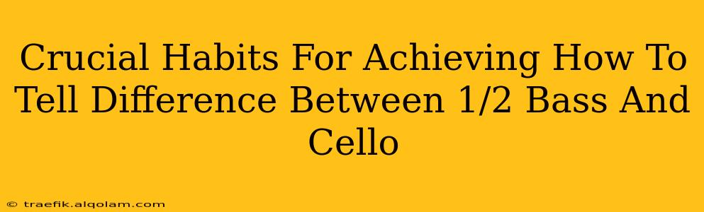 Crucial Habits For Achieving How To Tell Difference Between 1/2 Bass And Cello