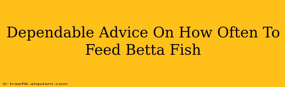 Dependable Advice On How Often To Feed Betta Fish