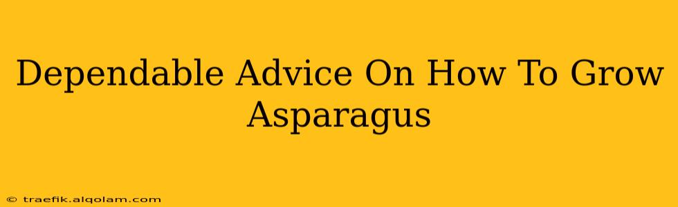 Dependable Advice On How To Grow Asparagus