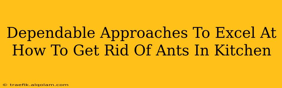 Dependable Approaches To Excel At How To Get Rid Of Ants In Kitchen