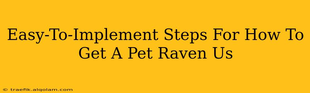 Easy-To-Implement Steps For How To Get A Pet Raven Us